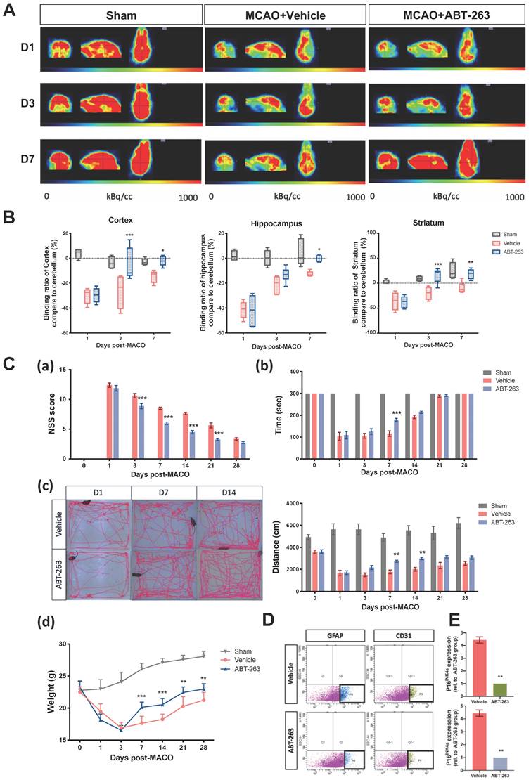 Int J Biol Sci Image