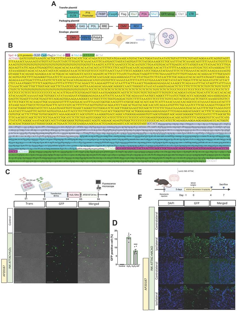 Int J Biol Sci Image