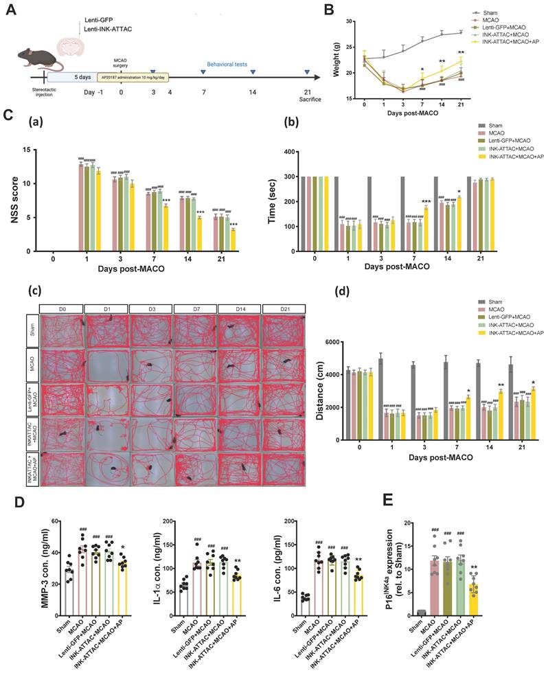 Int J Biol Sci Image