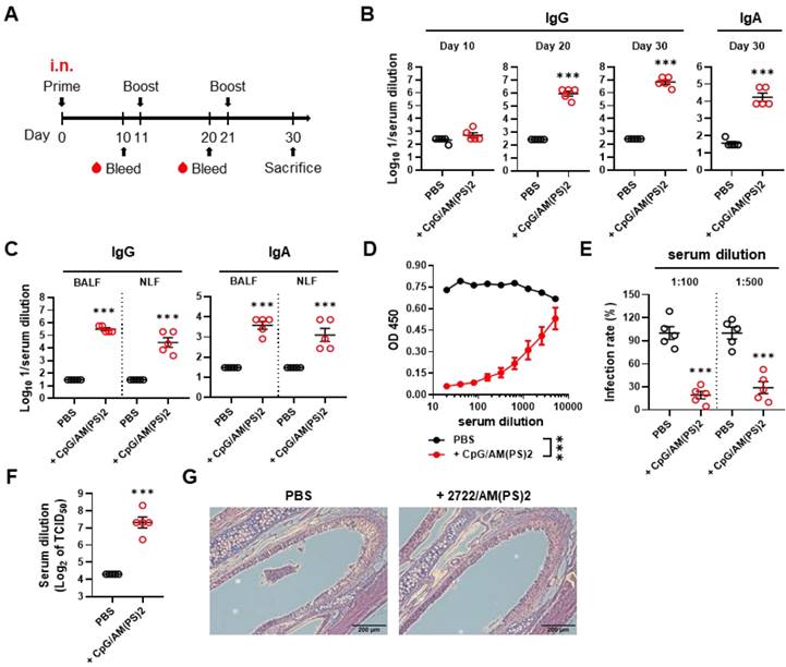 Int J Biol Sci Image