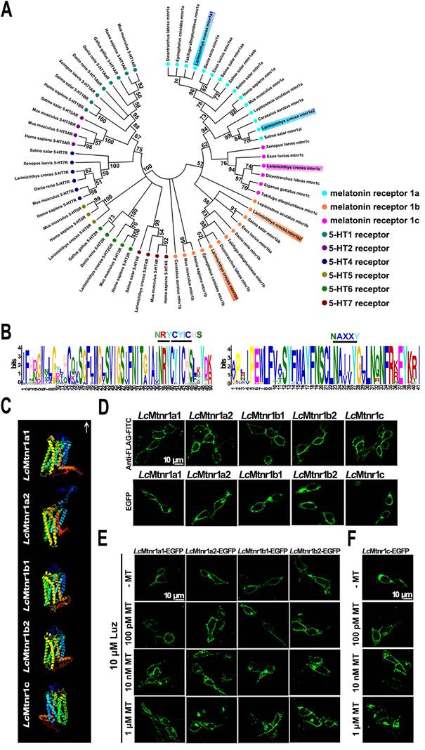 Int J Biol Sci Image