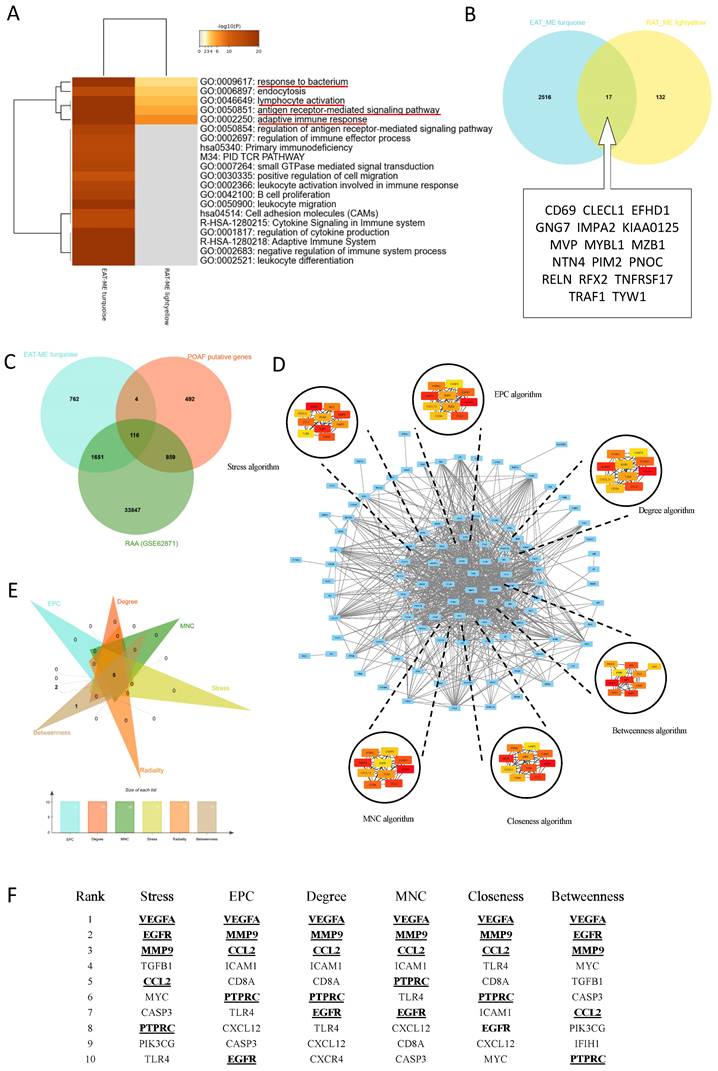 Int J Biol Sci Image