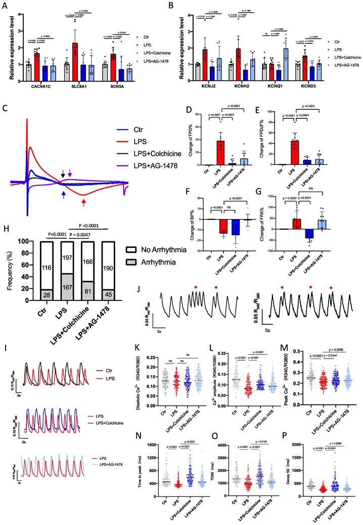 Int J Biol Sci Image