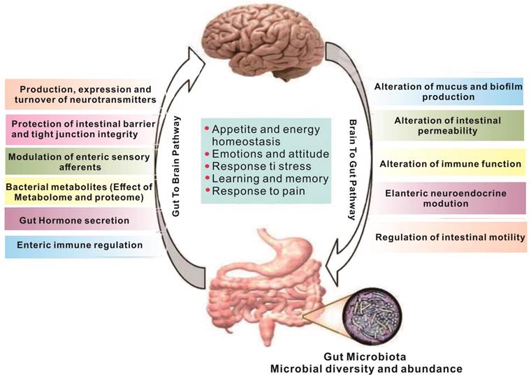 Int J Biol Sci Image