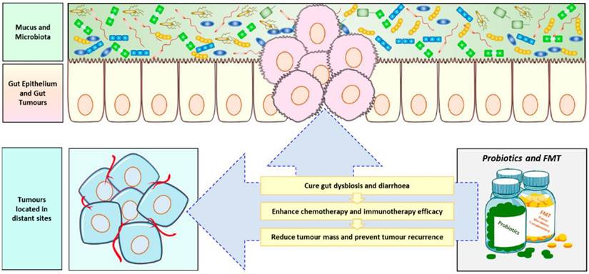 Int J Biol Sci Image