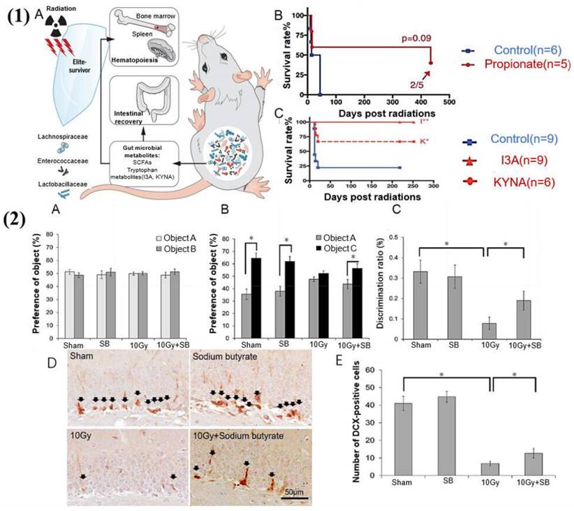 Int J Biol Sci Image