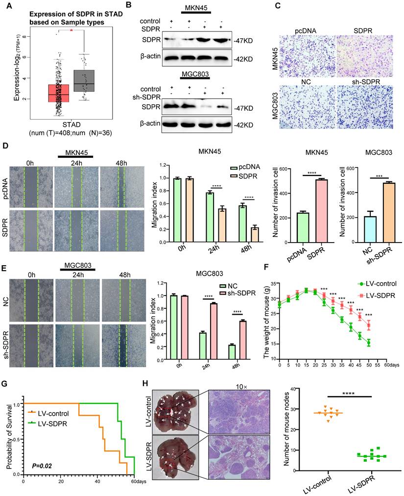 Int J Biol Sci Image