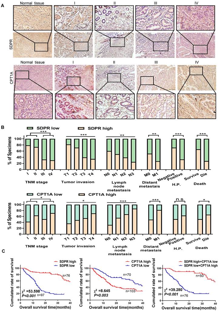 Int J Biol Sci Image