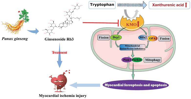 Int J Biol Sci Image