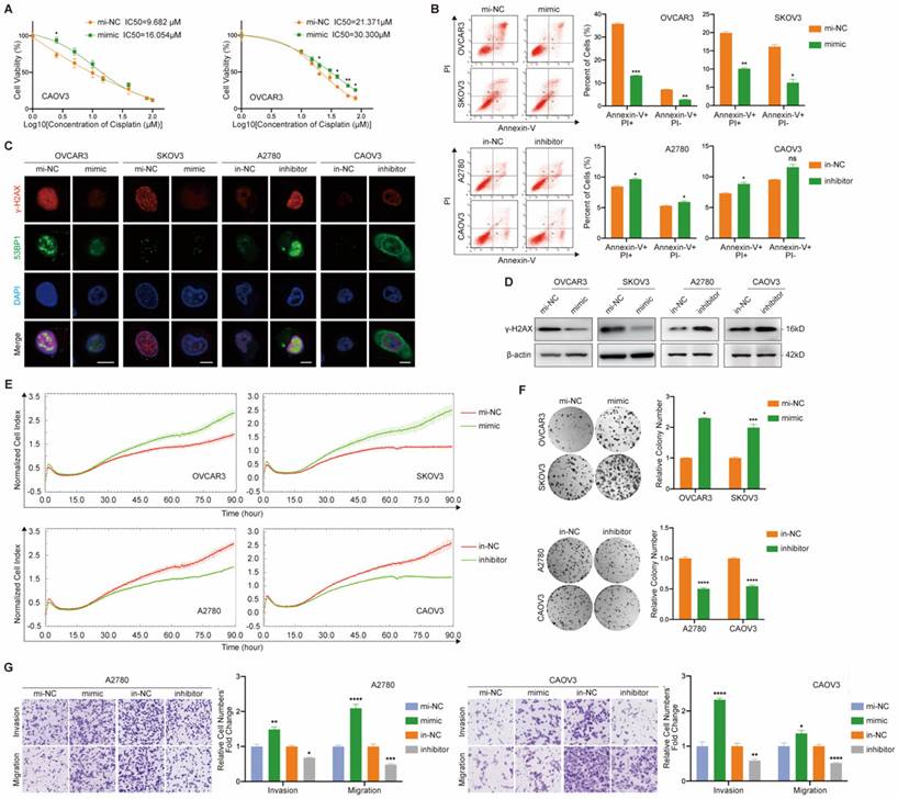 Int J Biol Sci Image