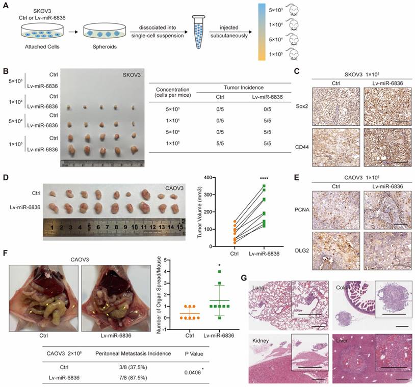 Int J Biol Sci Image