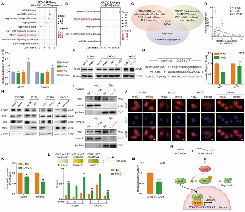 Int J Biol Sci Image