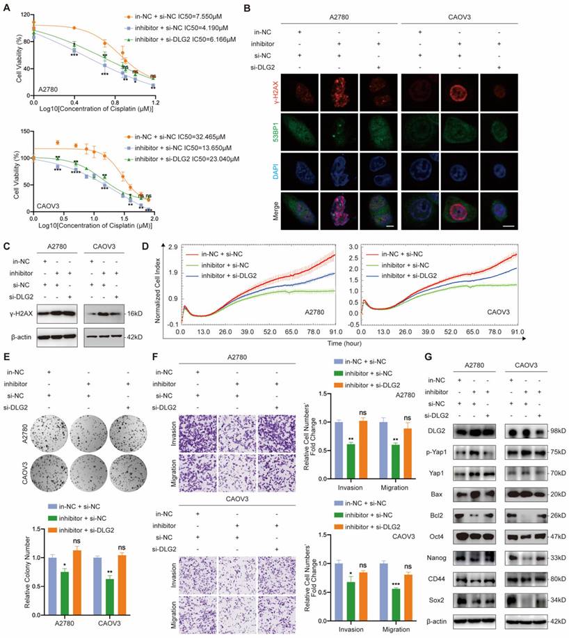 Int J Biol Sci Image