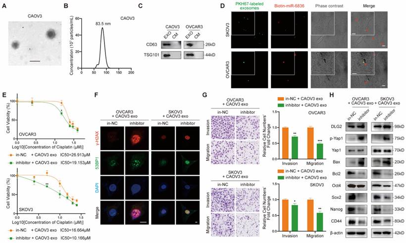 Int J Biol Sci Image