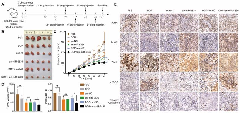 Int J Biol Sci Image