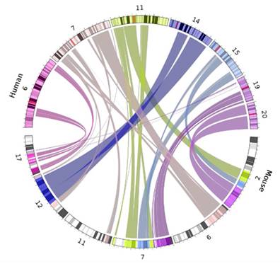 Int J Biol Sci Image