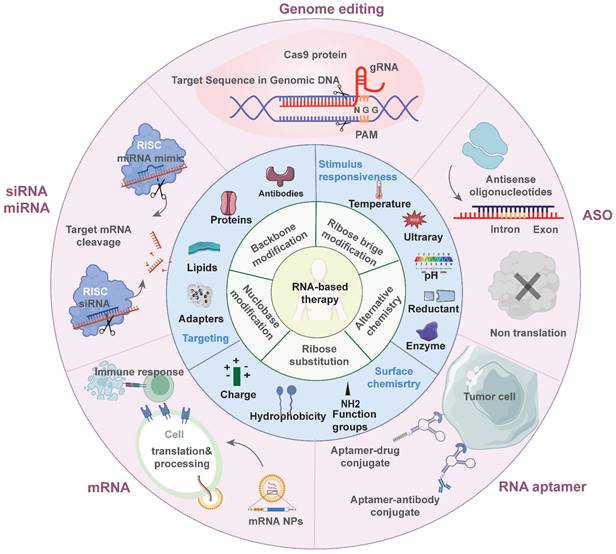 Int J Biol Sci Image