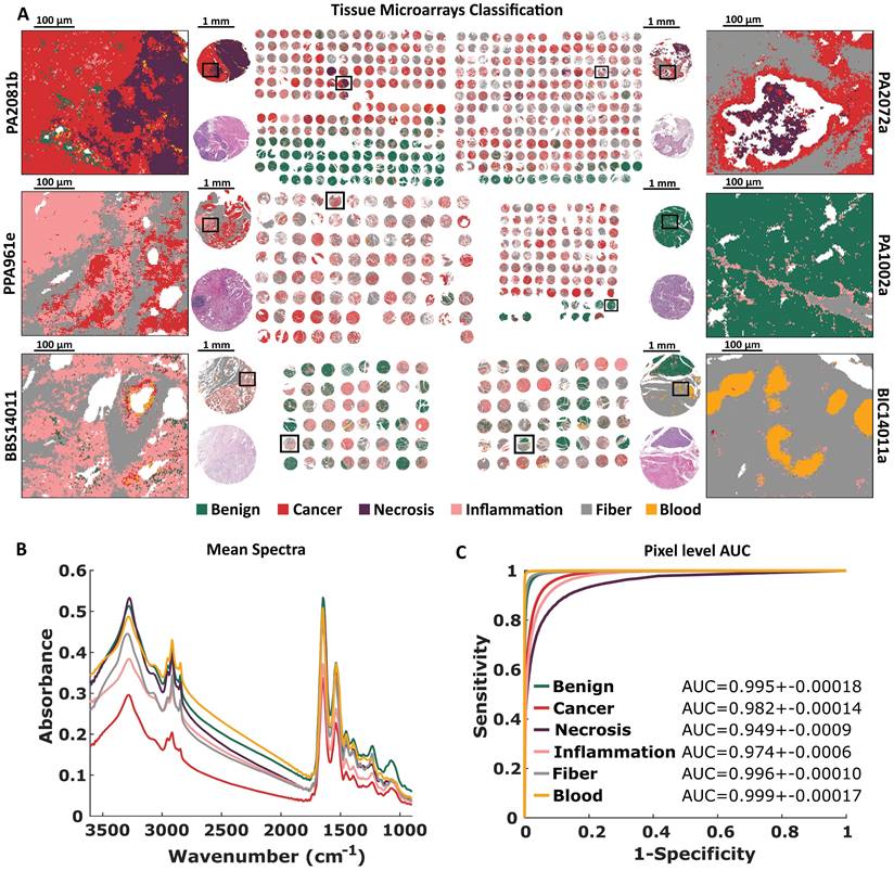 Int J Biol Sci Image