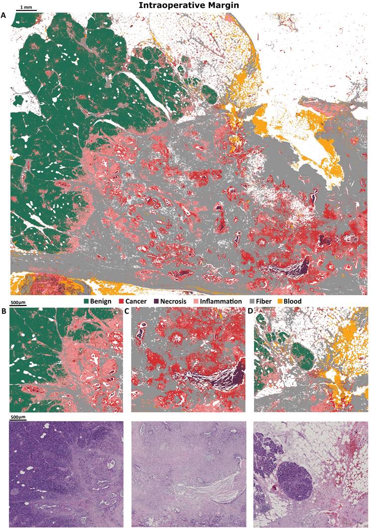 Int J Biol Sci Image