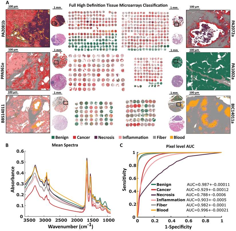 Int J Biol Sci Image