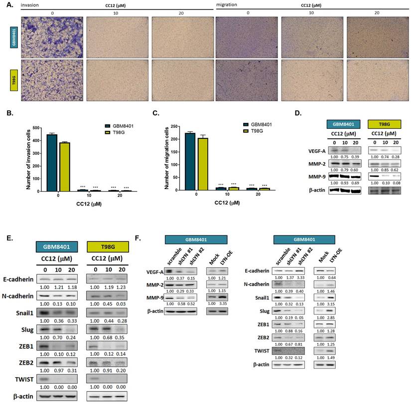 Int J Biol Sci Image