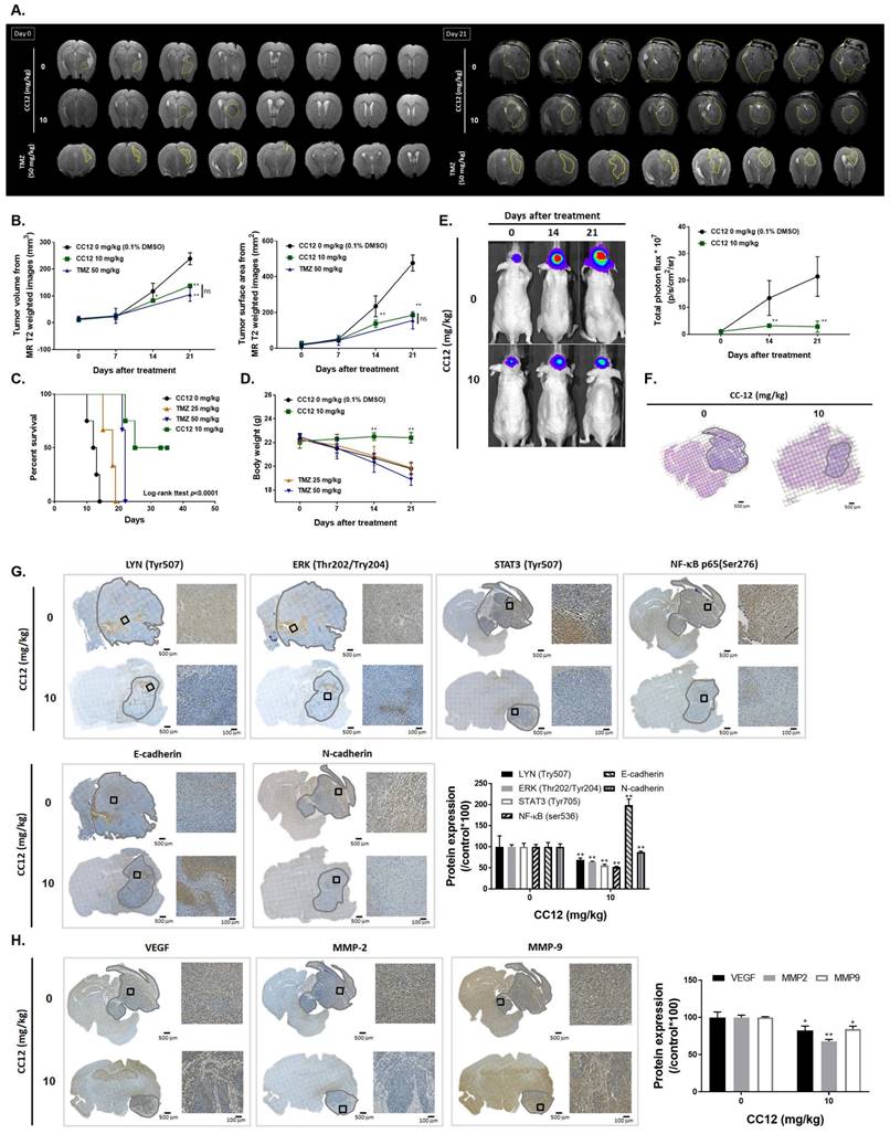 Int J Biol Sci Image