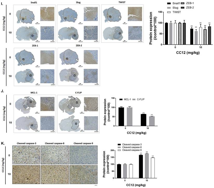 Int J Biol Sci Image