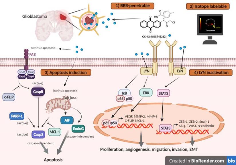 Int J Biol Sci Image