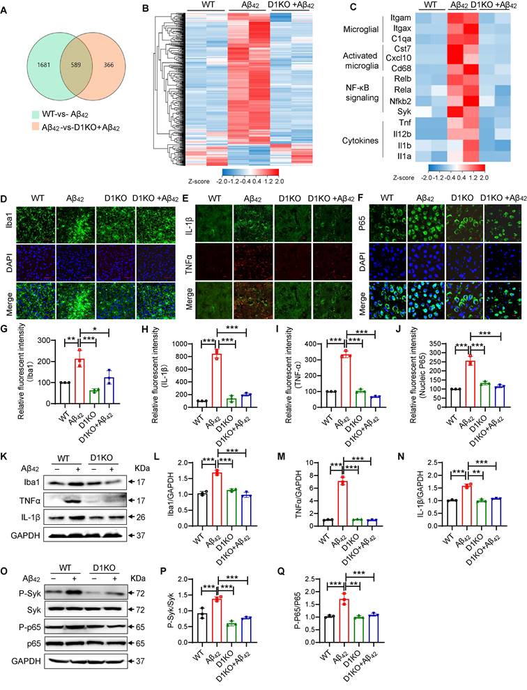 Int J Biol Sci Image