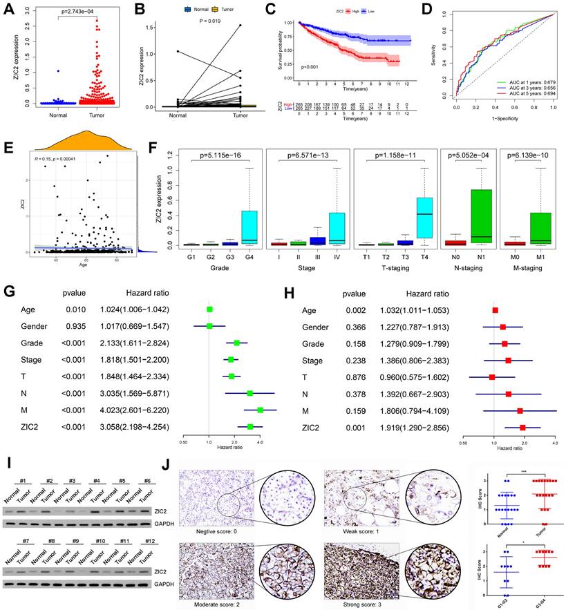 Int J Biol Sci Image