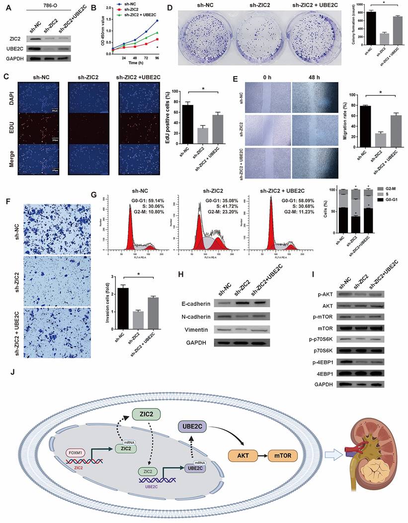 Int J Biol Sci Image