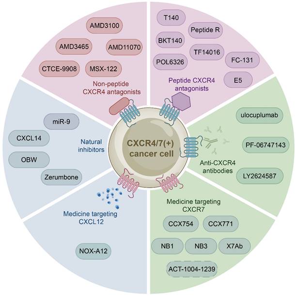 Int J Biol Sci Image