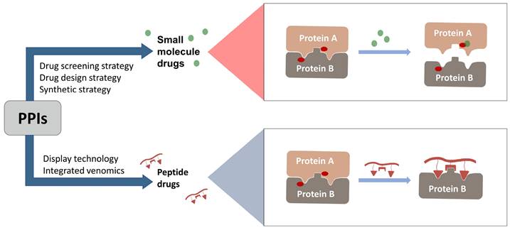 Int J Biol Sci Image