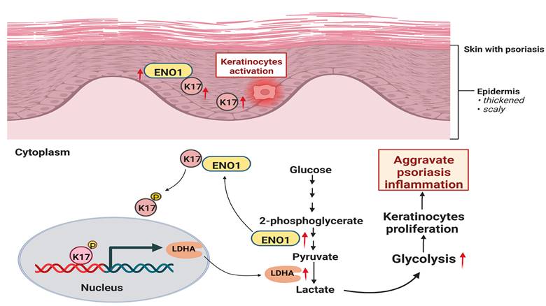 Int J Biol Sci Image