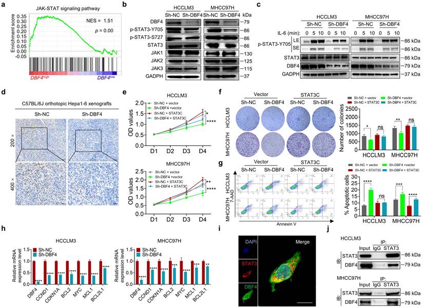 Int J Biol Sci Image