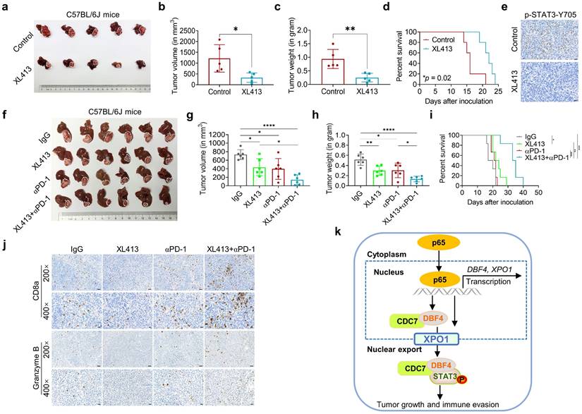 Int J Biol Sci Image