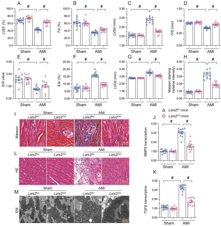 Int J Biol Sci Image