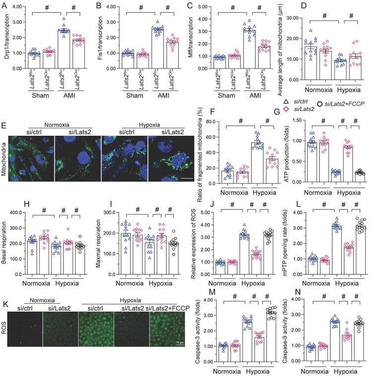 Int J Biol Sci Image