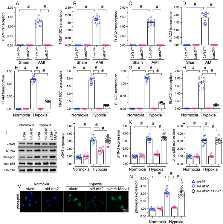 Int J Biol Sci Image