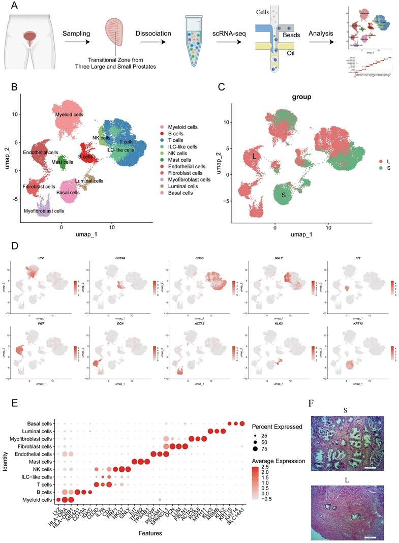 Int J Biol Sci Image