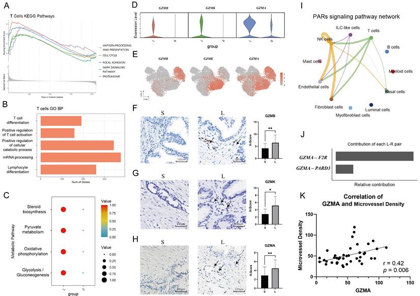 Int J Biol Sci Image