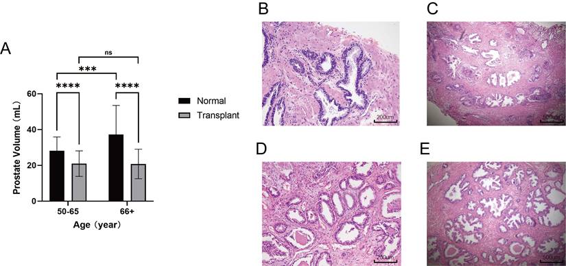 Int J Biol Sci Image