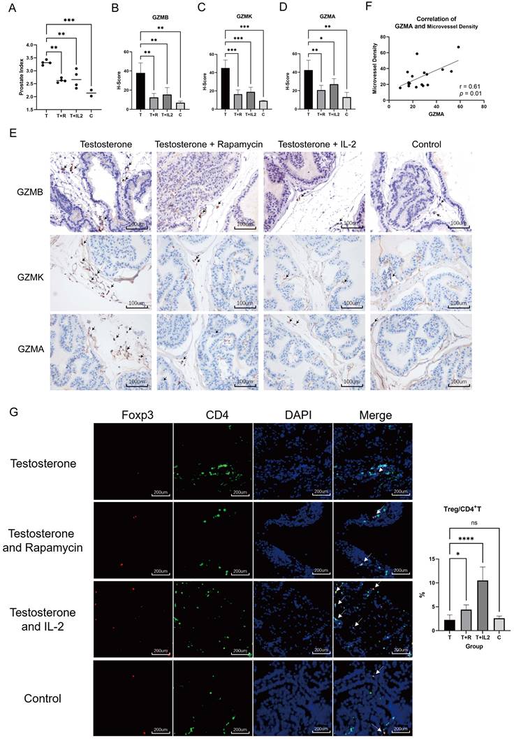 Int J Biol Sci Image