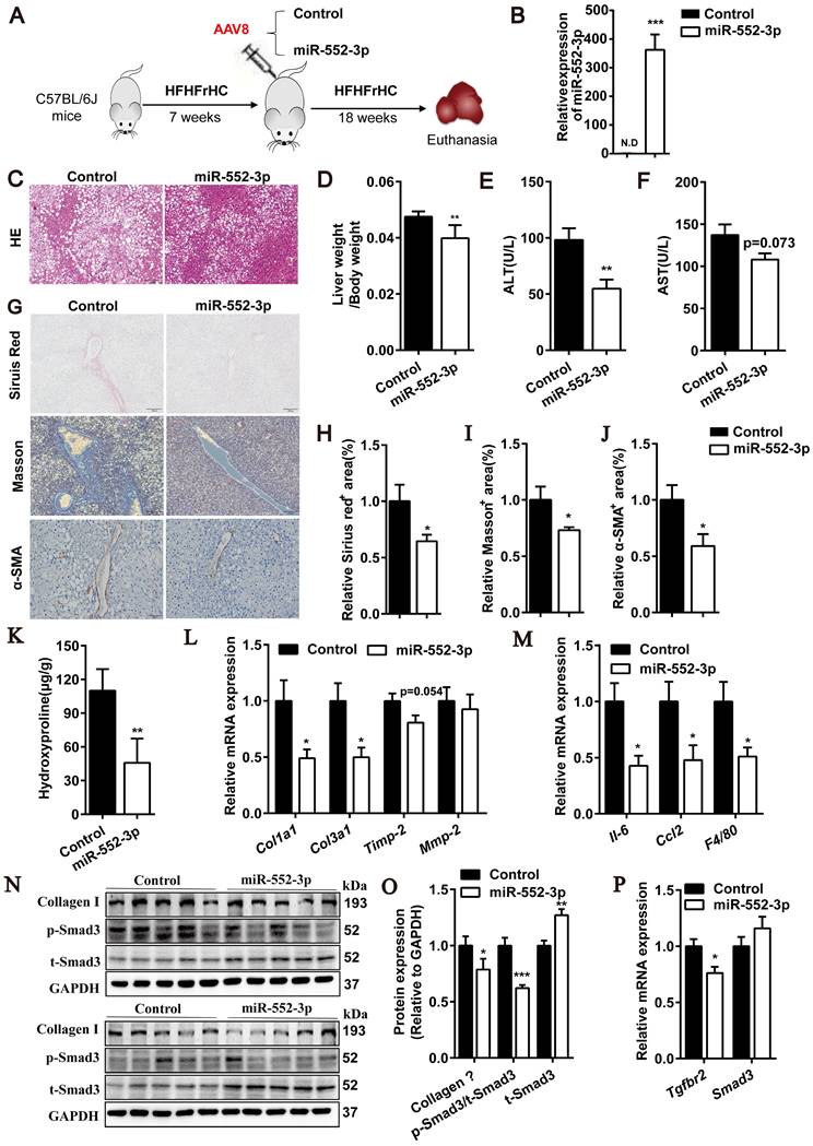 Int J Biol Sci Image