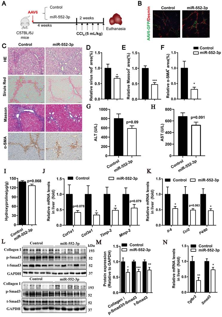 Int J Biol Sci Image