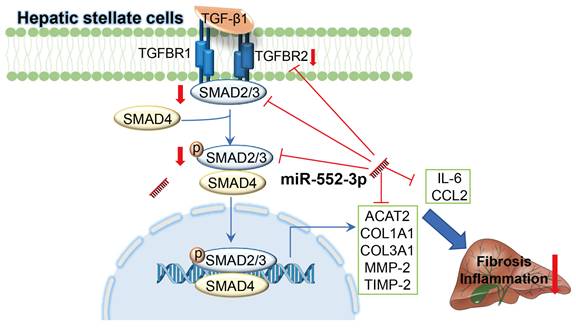 Int J Biol Sci Image