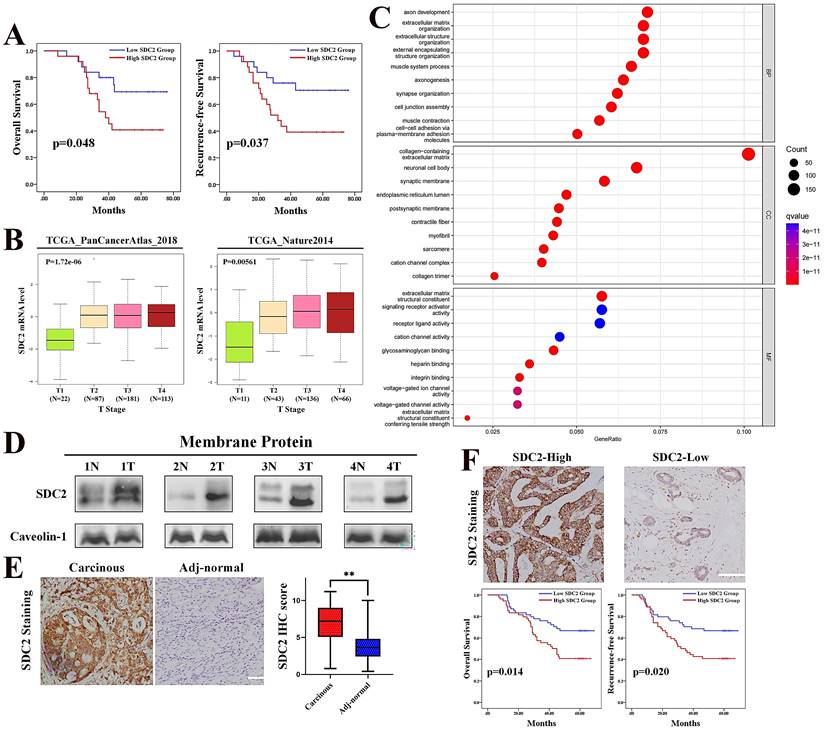 Int J Biol Sci Image