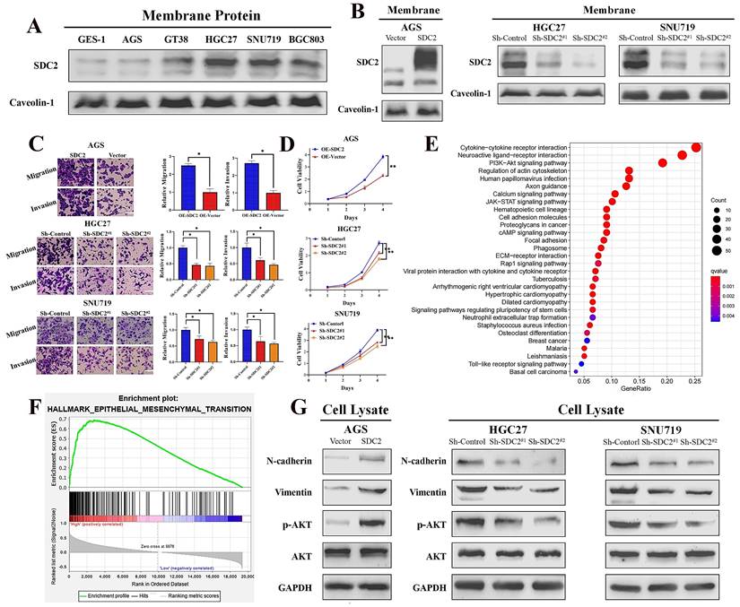 Int J Biol Sci Image