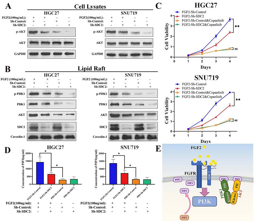 Int J Biol Sci Image