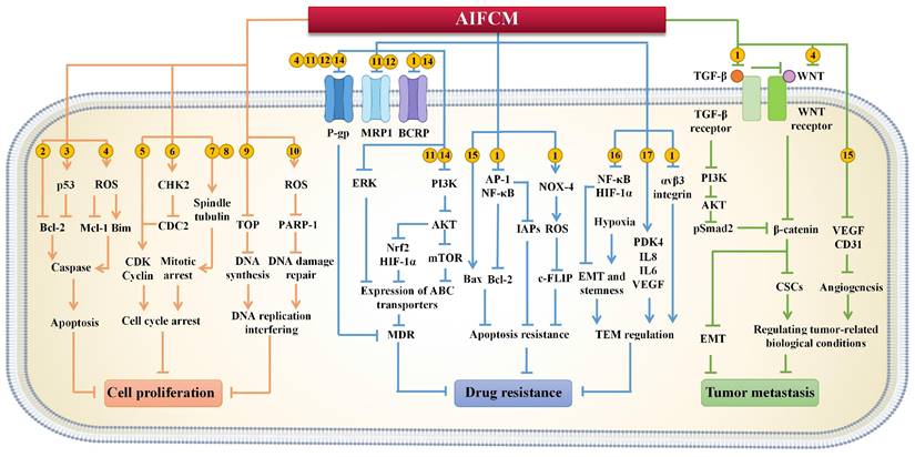 Int J Biol Sci Image